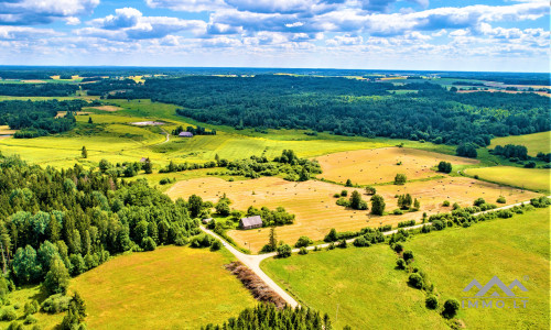 Einzigartiges altes Bauernhaus im Bz. Plungė