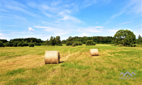 Einzigartiges altes Bauernhaus im Bz. Plungė