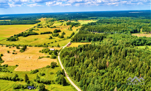 Einzigartiges altes Bauernhaus im Bz. Plungė