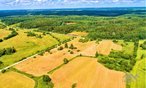 Einzigartiges altes Bauernhaus im Bz. Plungė