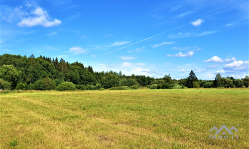 Einzigartiges altes Bauernhaus im Bz. Plungė