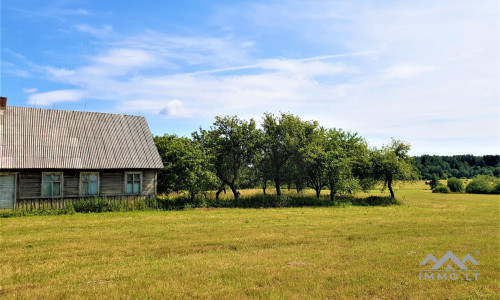 Unique Old Farmhouse in Plungė District