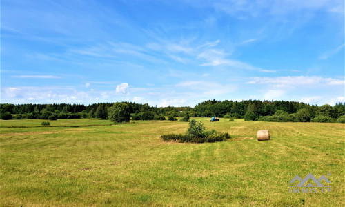 Einzigartiges altes Bauernhaus im Bz. Plungė