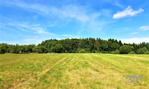 Einzigartiges altes Bauernhaus im Bz. Plungė