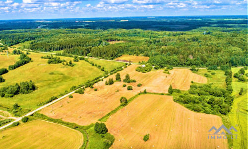 Einzigartiges altes Bauernhaus im Bz. Plungė