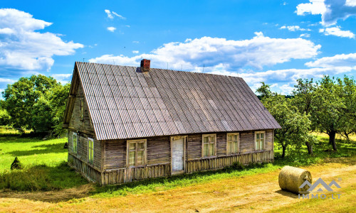 Unique Old Farmhouse in Plungė District