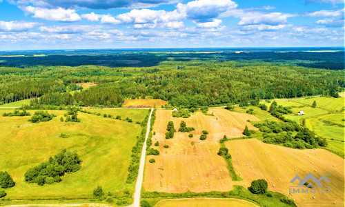 Einzigartiges altes Bauernhaus im Bz. Plungė