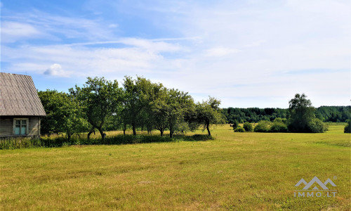 Unique Old Farmhouse in Plungė District