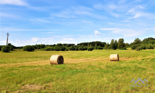 Einzigartiges altes Bauernhaus im Bz. Plungė