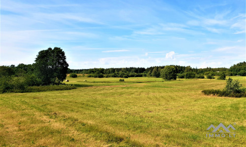 Einzigartiges altes Bauernhaus im Bz. Plungė