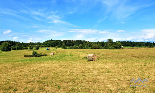 Einzigartiges altes Bauernhaus im Bz. Plungė