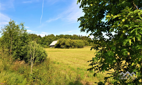 Unique Old Farmhouse in Plungė District