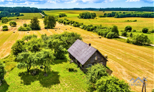 Unique Old Farmhouse in Plungė District