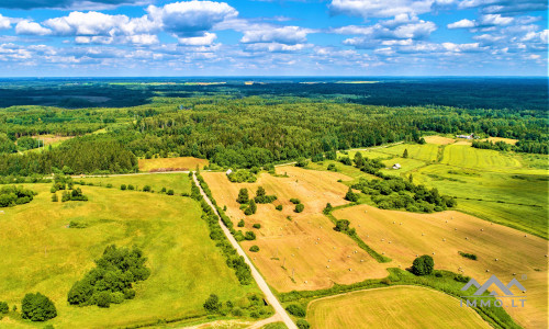 Einzigartiges altes Bauernhaus im Bz. Plungė