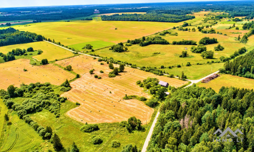 Einzigartiges altes Bauernhaus im Bz. Plungė