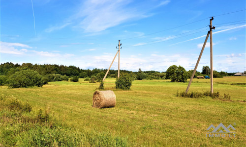 Einzigartiges altes Bauernhaus im Bz. Plungė