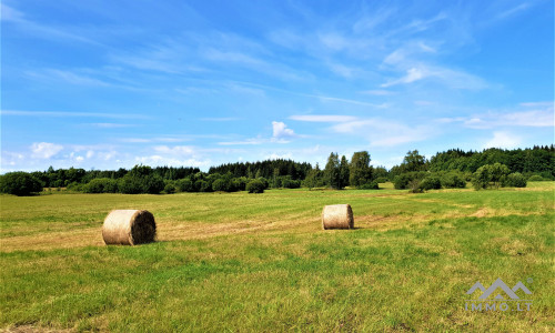 Einzigartiges altes Bauernhaus im Bz. Plungė