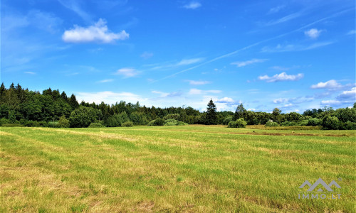 Einzigartiges altes Bauernhaus im Bz. Plungė