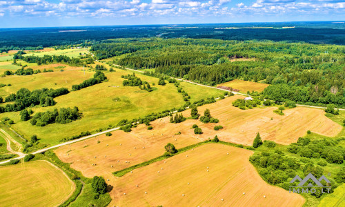 Einzigartiges altes Bauernhaus im Bz. Plungė