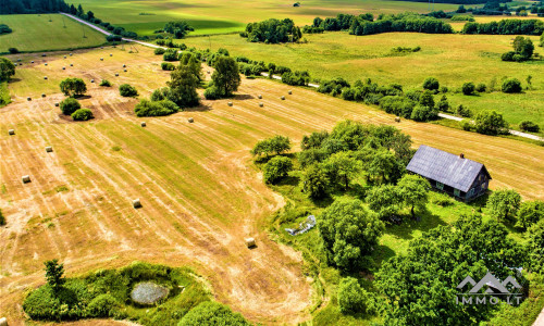 Einzigartiges altes Bauernhaus im Bz. Plungė