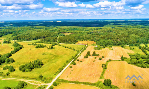 Einzigartiges altes Bauernhaus im Bz. Plungė