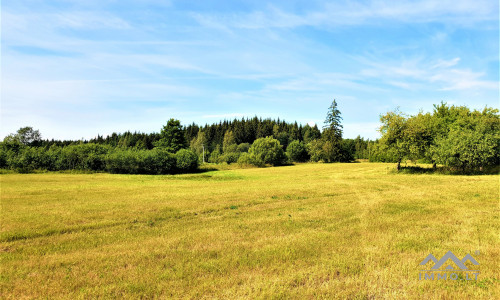 Einzigartiges altes Bauernhaus im Bz. Plungė