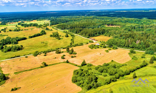 Einzigartiges altes Bauernhaus im Bz. Plungė