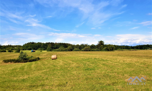 Einzigartiges altes Bauernhaus im Bz. Plungė