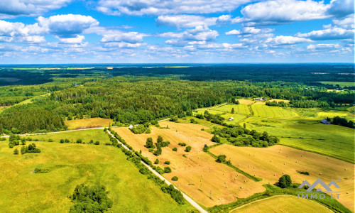 Einzigartiges altes Bauernhaus im Bz. Plungė