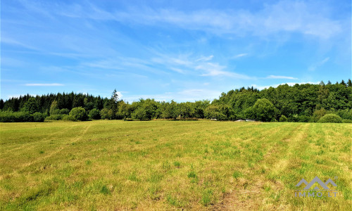 Einzigartiges altes Bauernhaus im Bz. Plungė