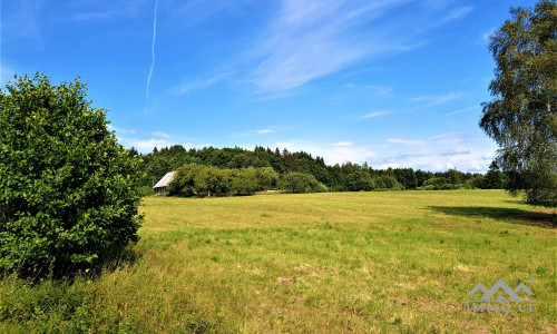 Einzigartiges altes Bauernhaus im Bz. Plungė