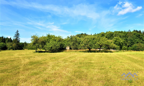 Einzigartiges altes Bauernhaus im Bz. Plungė