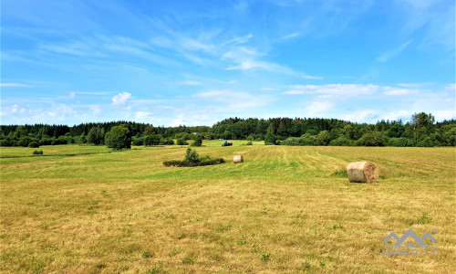 Einzigartiges altes Bauernhaus im Bz. Plungė