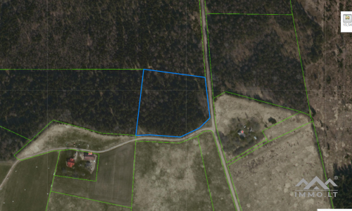 Forest Plot Near The Town of Rietavas