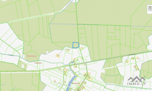 Forest Plot Near The Town of Rietavas