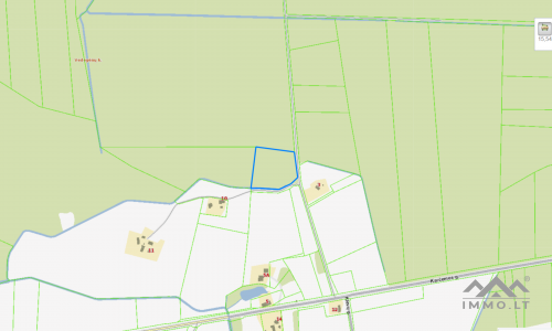 Une parcelle forestière près de la ville de Rietavas