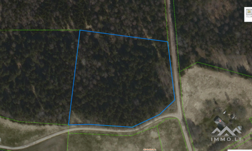 Forest Plot Near The Town of Rietavas