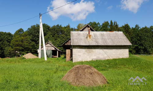 Old Homestead in Plungė District