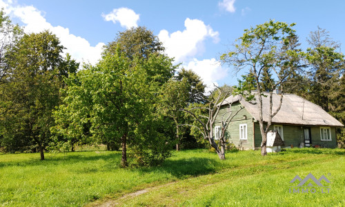 Old Homestead in Plungė District