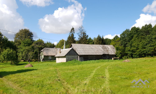 Old Homestead in Plungė District