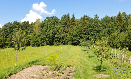 Old Homestead in Plungė District