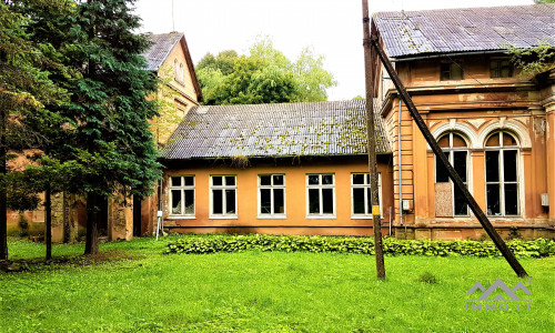 Der Wintergarten des Pliateriai-Herrenhauses in Šateikiai
