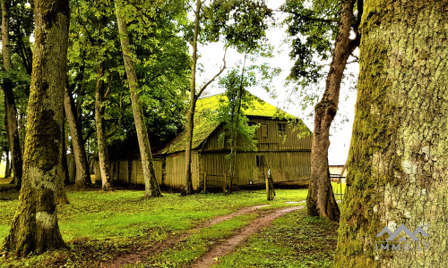 Der Wintergarten des Pliateriai-Herrenhauses in Šateikiai