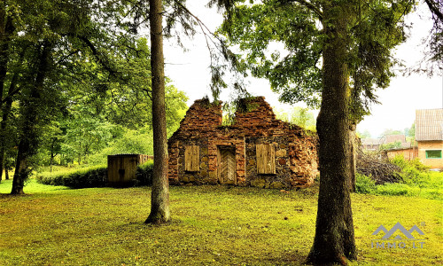 The Conservatory of The Pliateriai Manor in Šateikiai