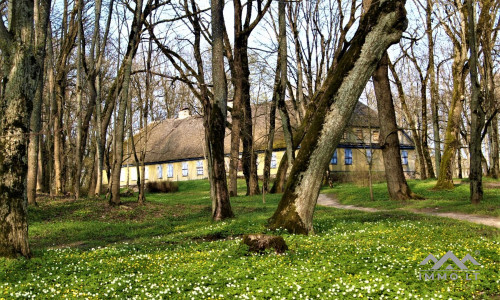 The Conservatory of The Pliateriai Manor in Šateikiai