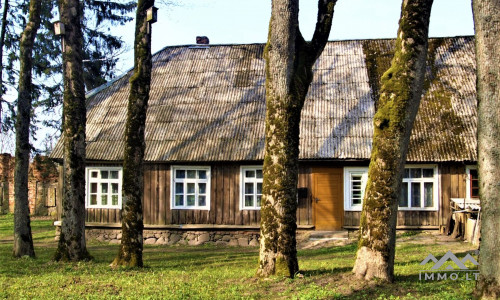 Der Wintergarten des Pliateriai-Herrenhauses in Šateikiai