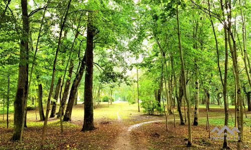 Der Wintergarten des Pliateriai-Herrenhauses in Šateikiai