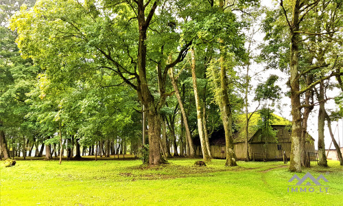 Der Wintergarten des Pliateriai-Herrenhauses in Šateikiai