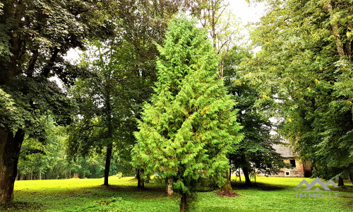 Der Wintergarten des Pliateriai-Herrenhauses in Šateikiai