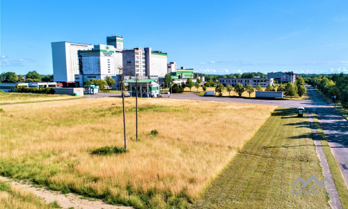 Industrial Land Plot in Kretinga